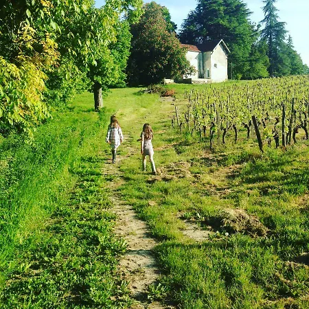 Chateau La Fontaine * Fronsac (Gironde)