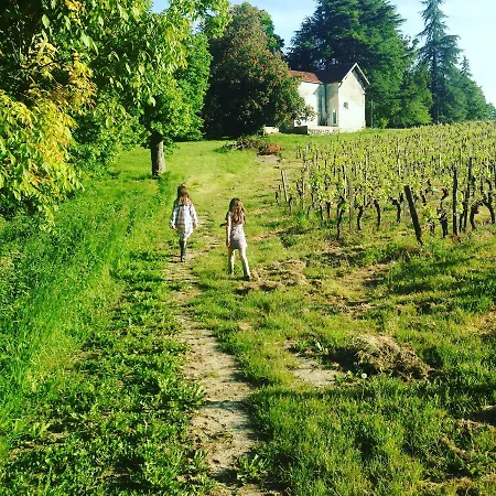Chateau La Fontaine * Fronsac (Gironde)